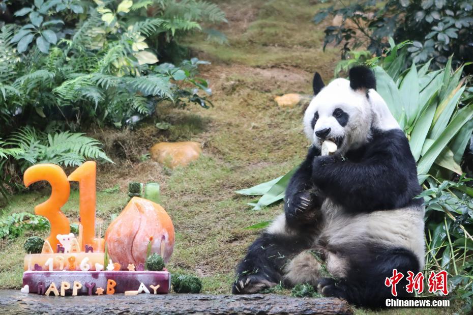 波多野结衣一二三区