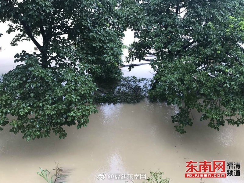 石原理央