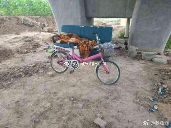 狗和女人操逼