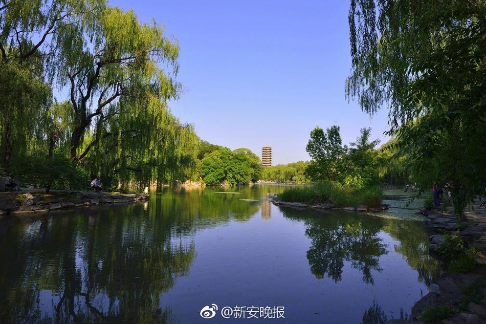操逼操逼操逼