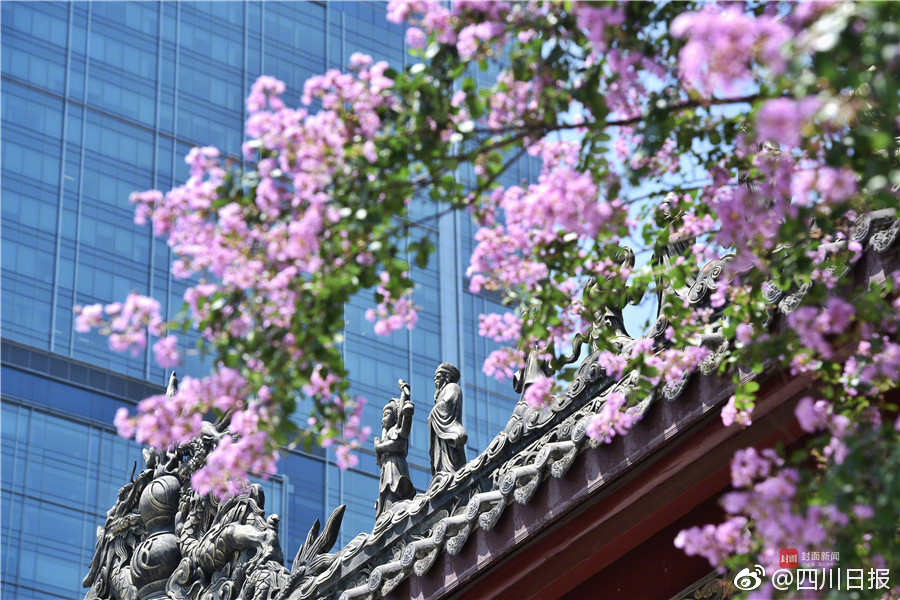 青空小夏