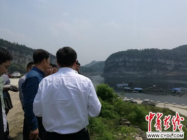 南佳也