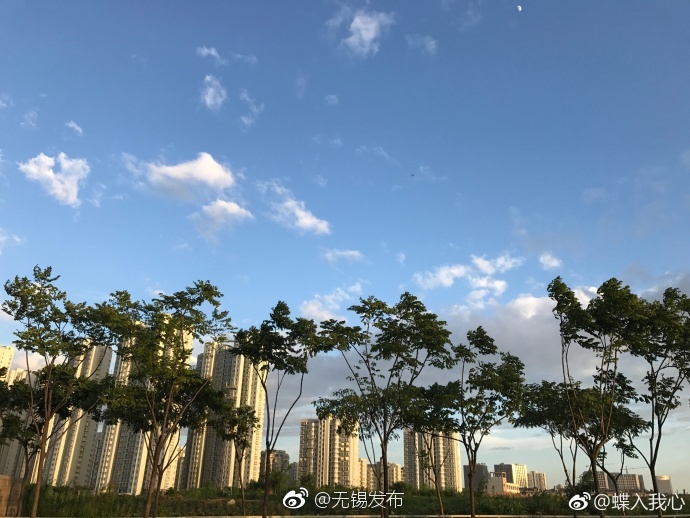 美女裸奶100%无遮挡免费网