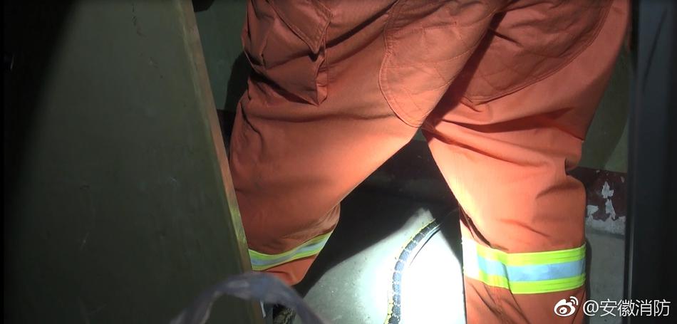 黄秽影视片