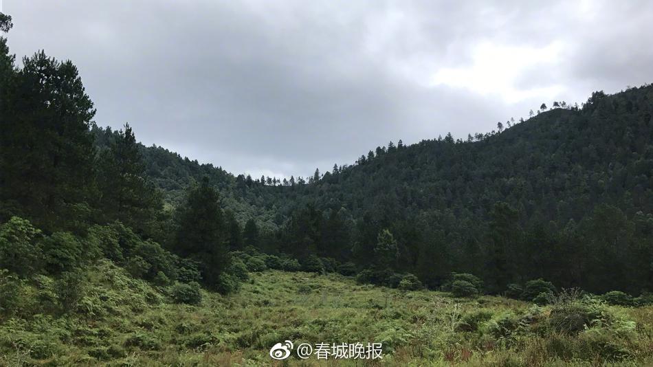 国产精品国产成人国产三级