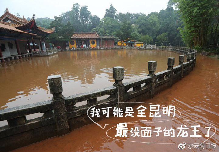 韓國兄妹