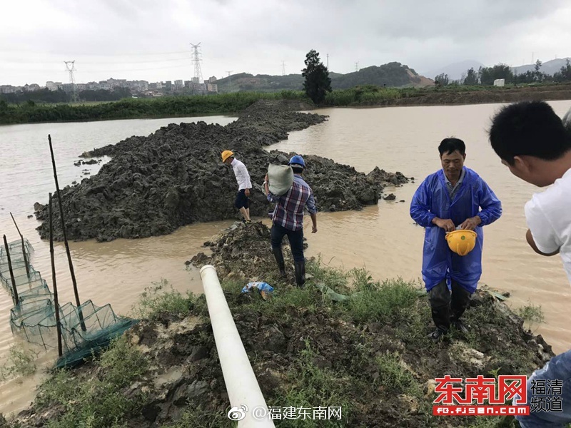 三浦惠理子Av