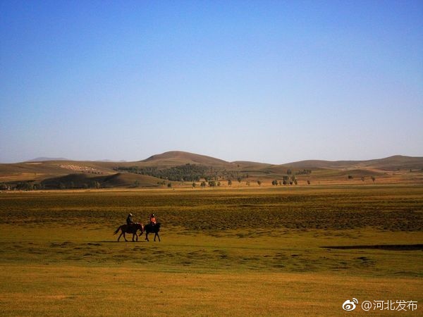 中国一级大黄大色毛片