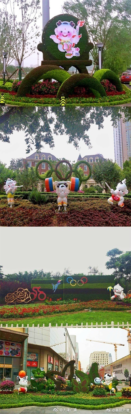 饅頭鮑