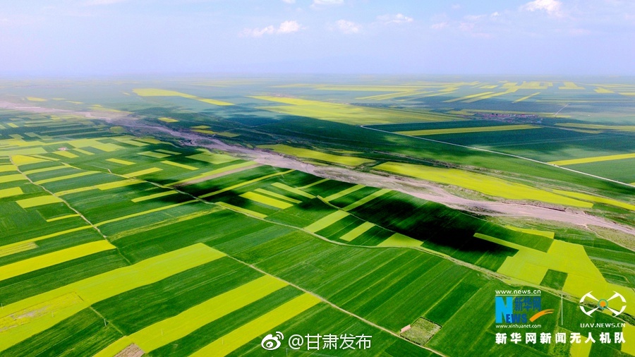 三级伦理片