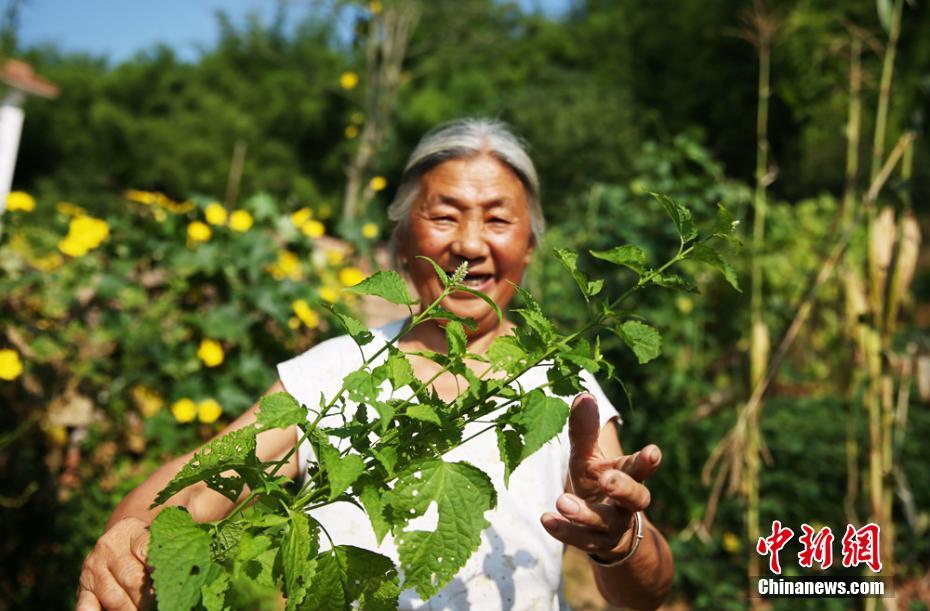 女仆扒开腿秘 让人桶爽的动漫