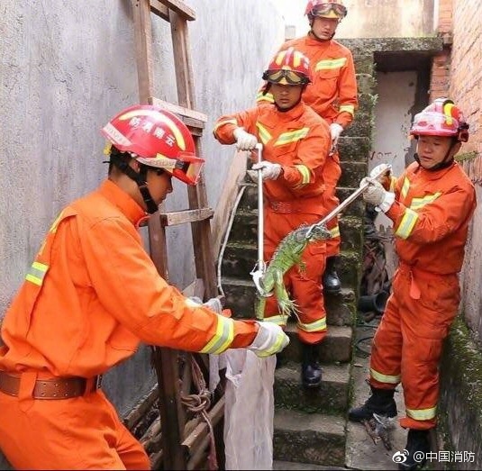 我看免费黄色电影