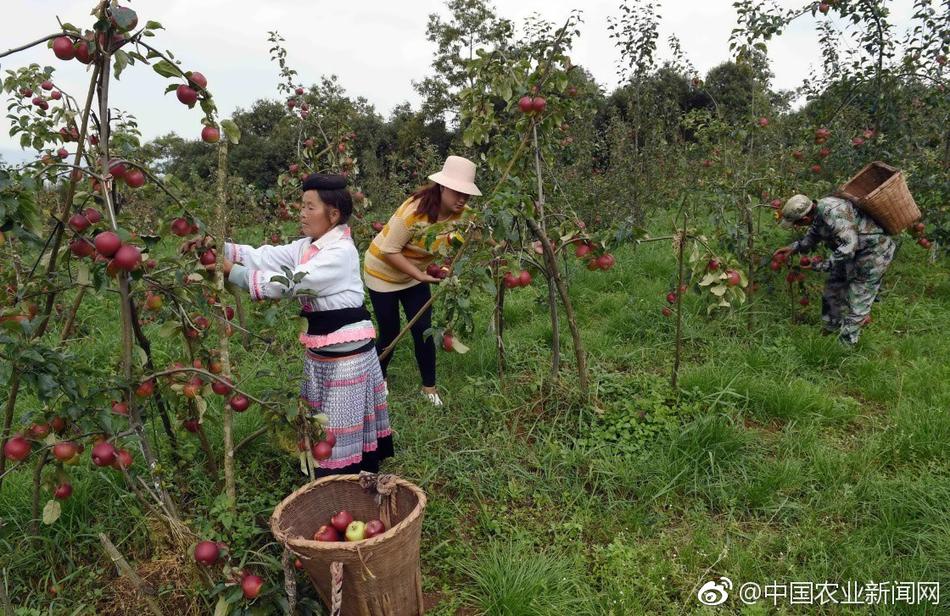 孫子操奶奶舔逼內射