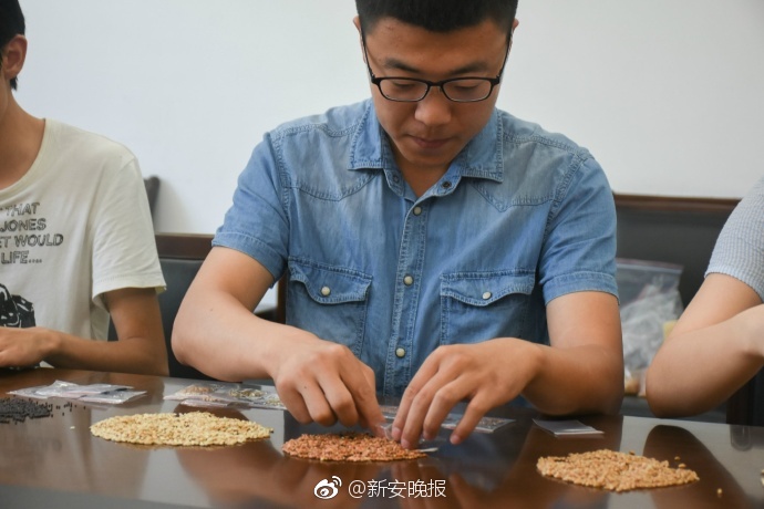 兔费下载A黄色网站