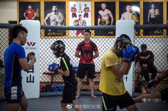 张柏芝黑森林毛毛图片高清