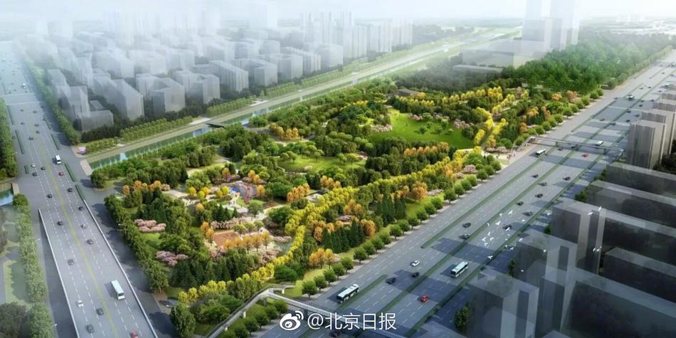 中国性饥渴老妇Hd
