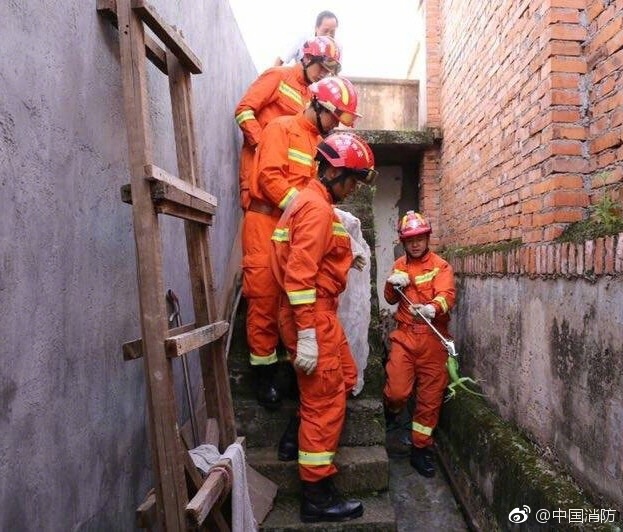 免费高清黄色网站