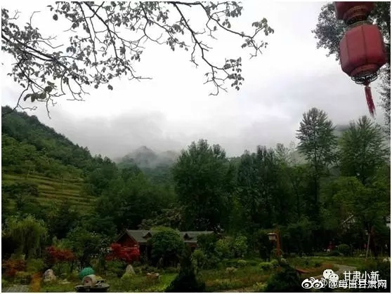 能看的免费的黄色网站