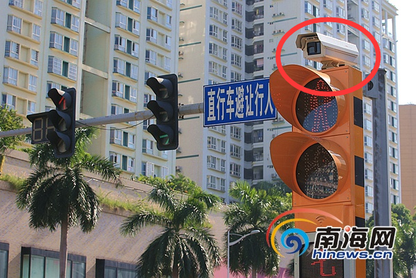 男生互摸jiji秘 网站