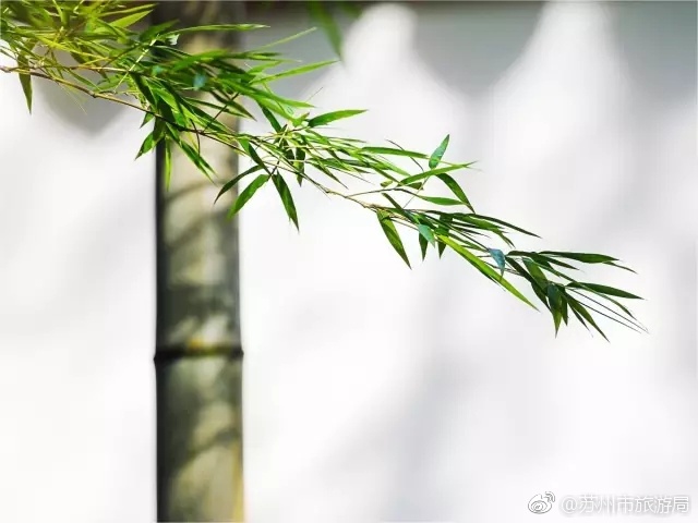 囻产免费真人乱伦视频