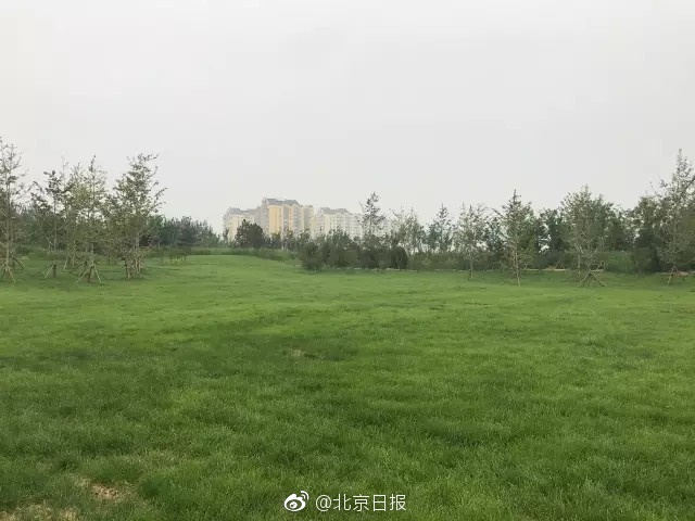 欧美丝袜乱伦