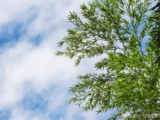 国产51黑料每日吃瓜