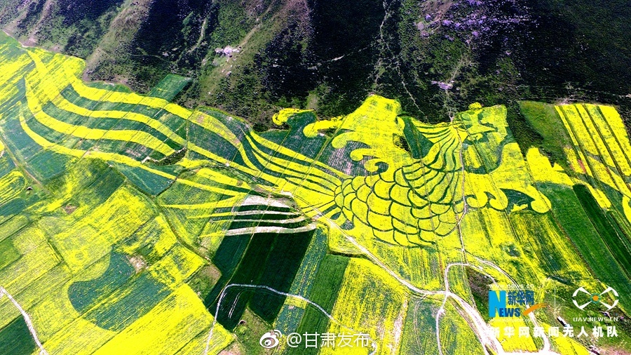 中国妓女一级片