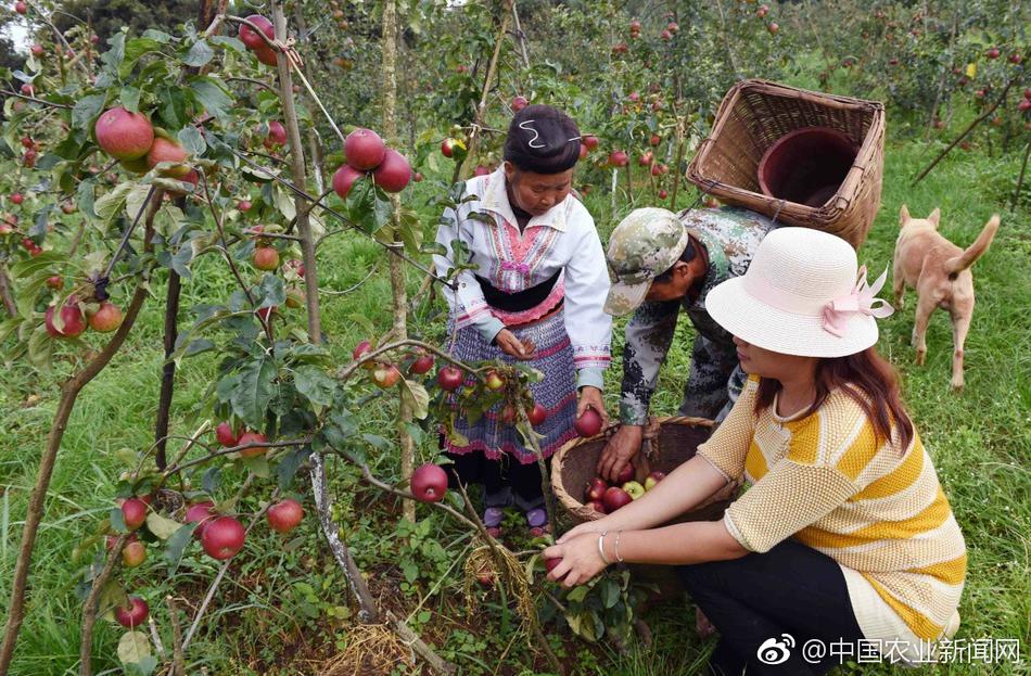 一级做a爰片久久毛片A片鱼鱼鱼