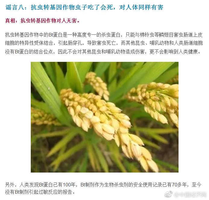 又硬又粗进去爽A片爆乳