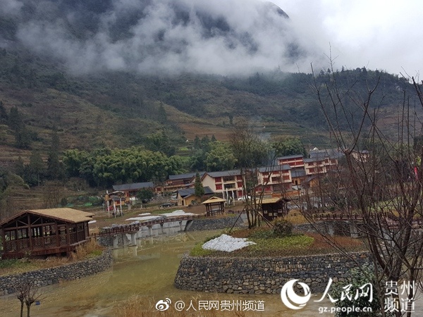 欧美多毛系列
