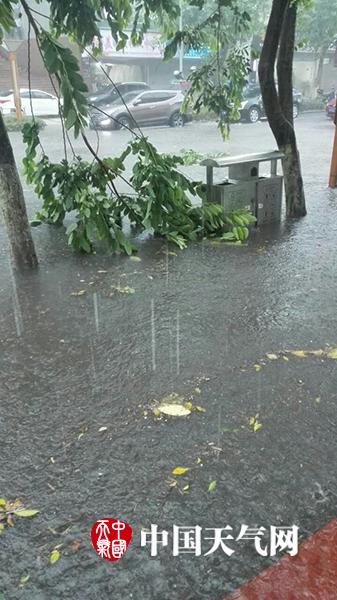 白丝美女被艹