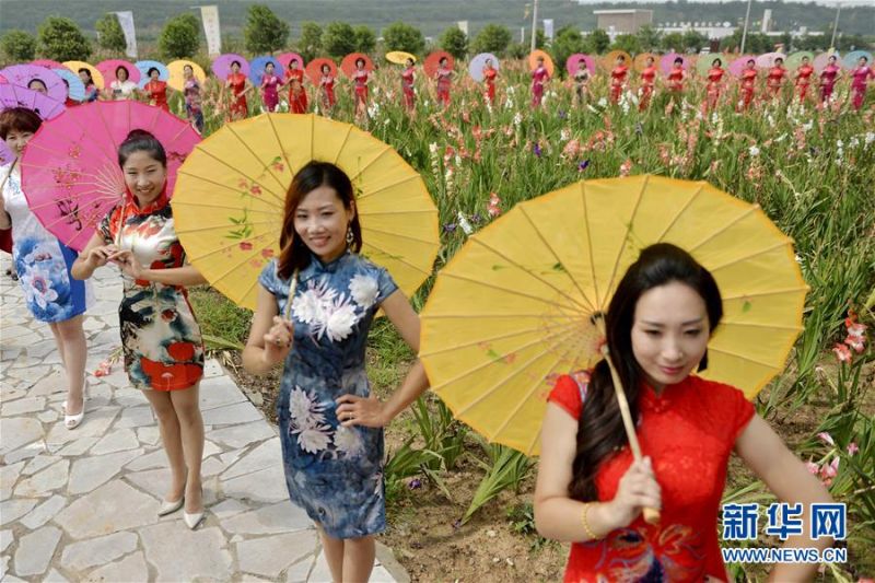 黄色网站免播放器在线视频