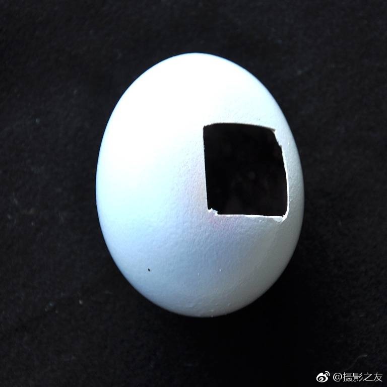 黑人内射性爱在线视频
