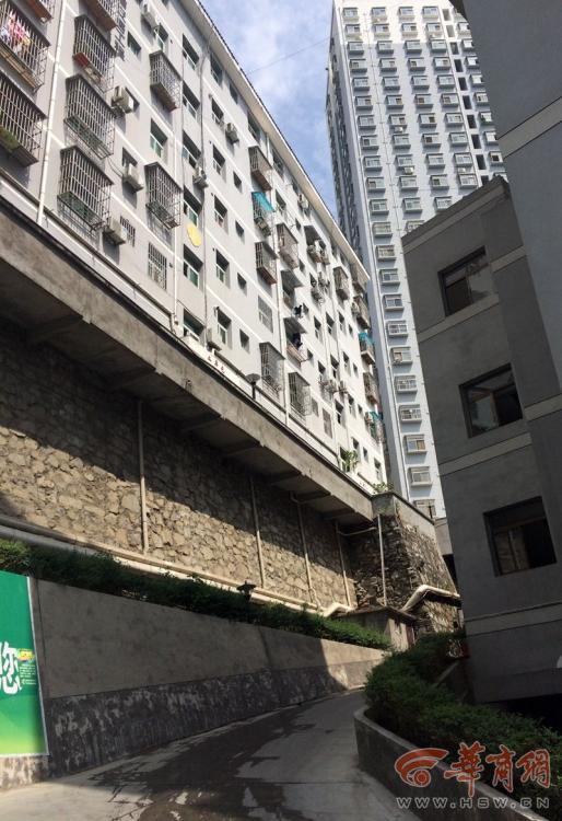 女人下边被添全过视频
