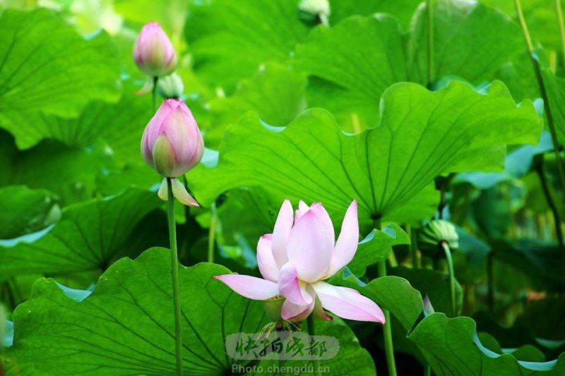 tobu18HD馃憴馃憴91