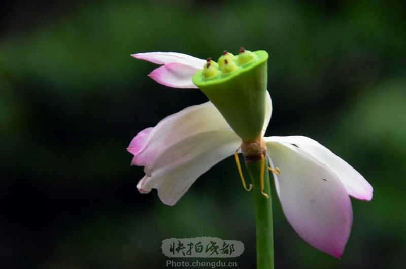 甘雨女被  黄漫扒衣服游戏