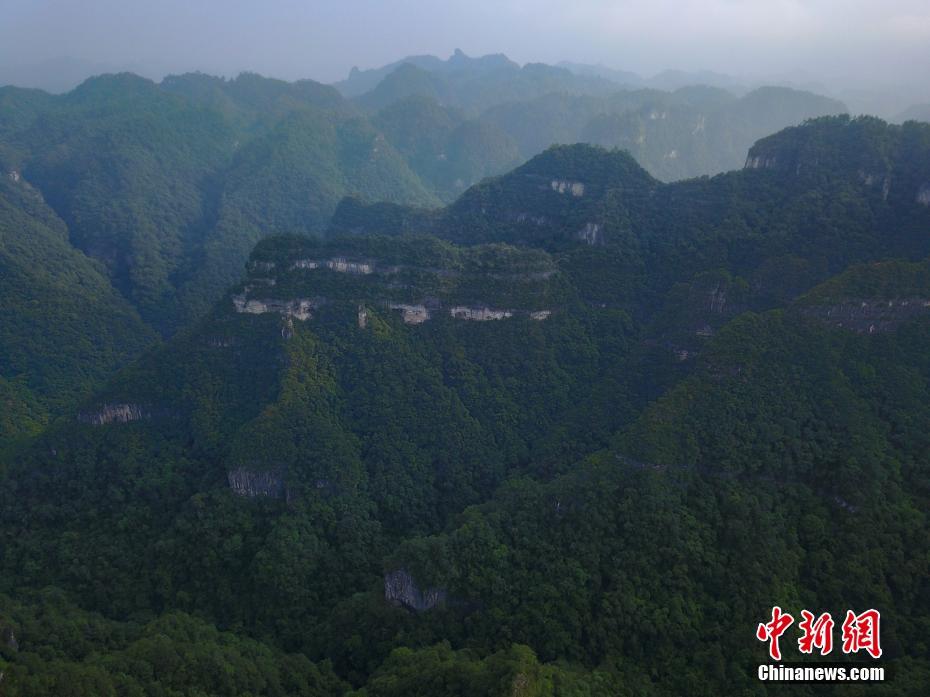 黄色网站免费的视频