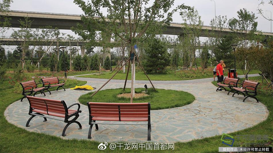 美女被操的网站
