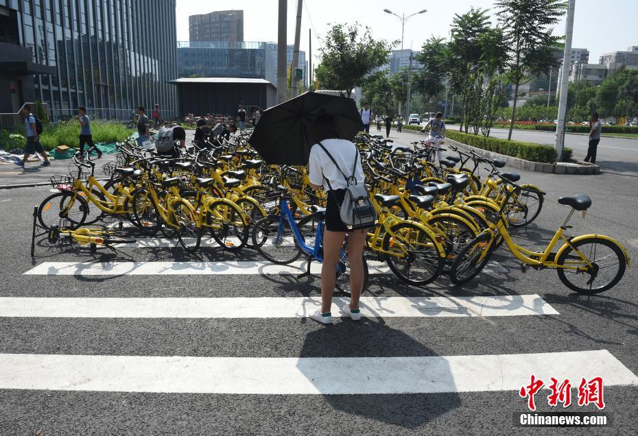 中国老太婆一级特黄大