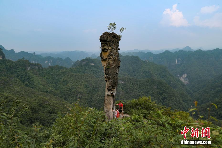 免费黄色网站网址