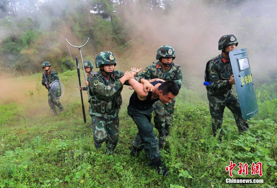 免费 性爱 视频