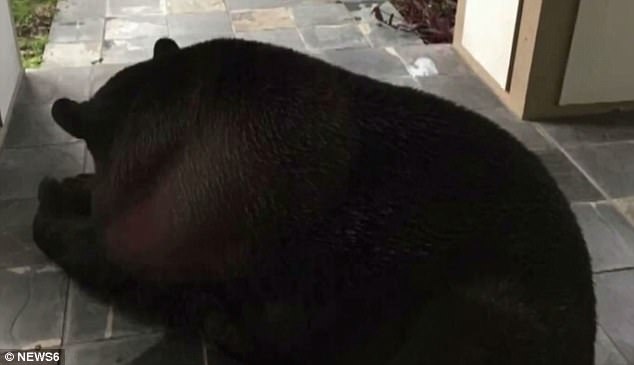李淑芬在厨房被猛烈进进出出