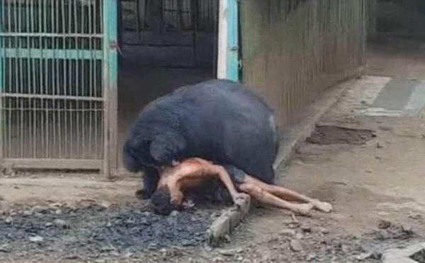 av一级片