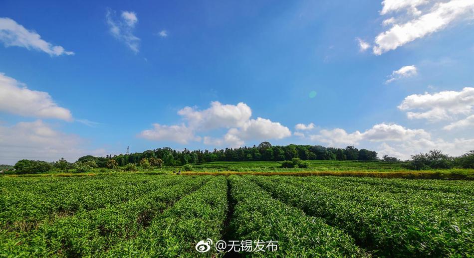公夜夜的侵犯怀孕电影