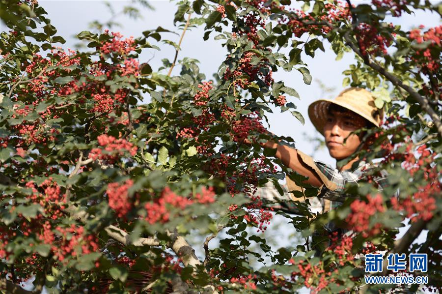 白丝校花 扒腿自慰