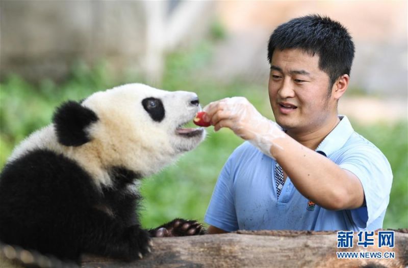 巨大乳輪