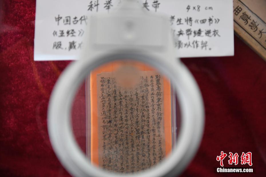 高清免费孕妇性爱视频