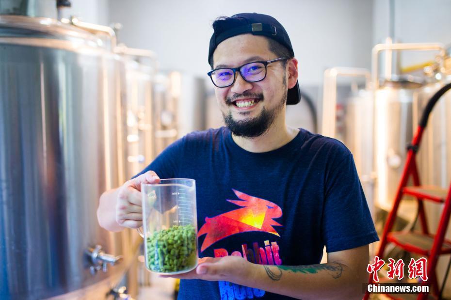 麻花传媒app