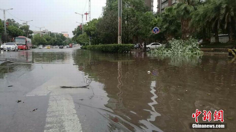 成人 戏