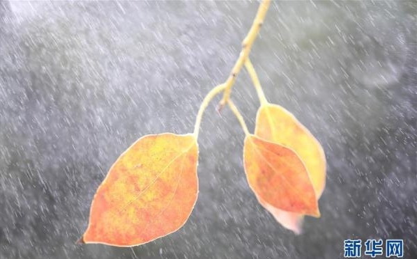 日韩欧美搞逼片